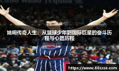 球速体育平台入口